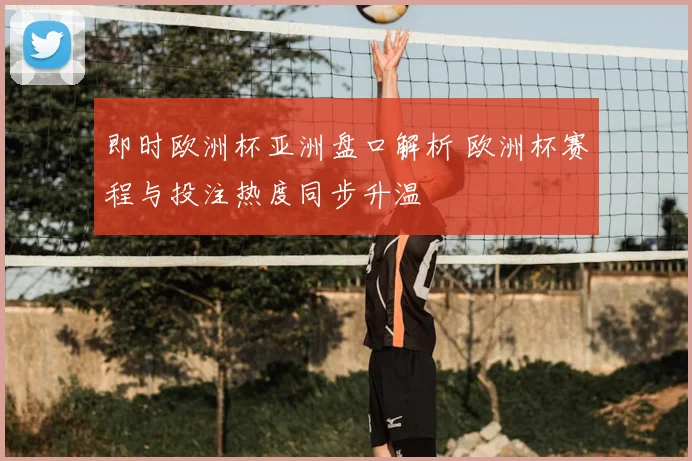 即时欧洲杯亚洲盘口解析 欧洲杯赛程与投注热度同步升温